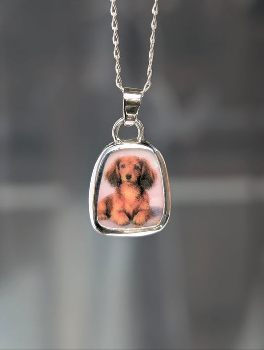 Collier chien teckel