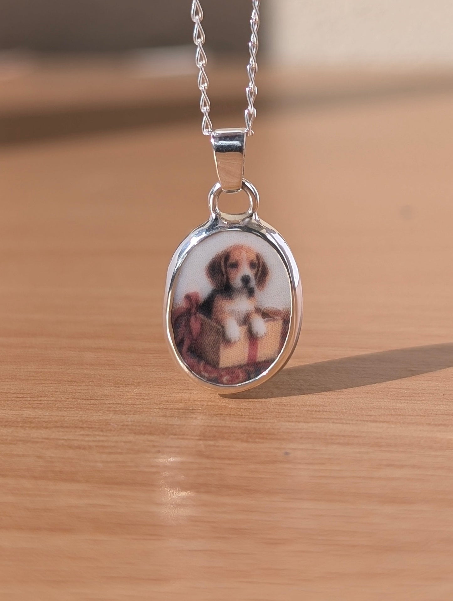 Collier beagle