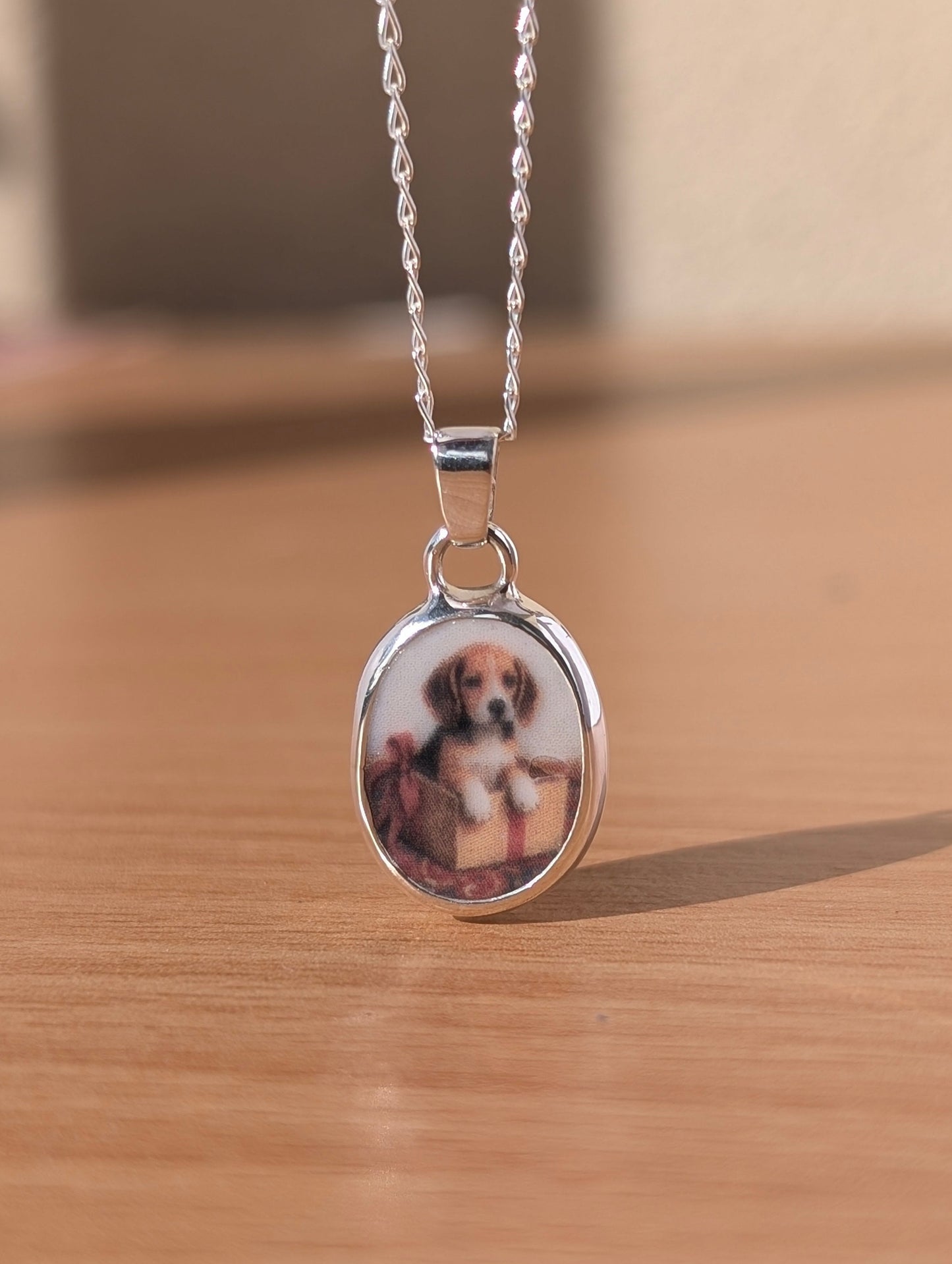 Collier beagle