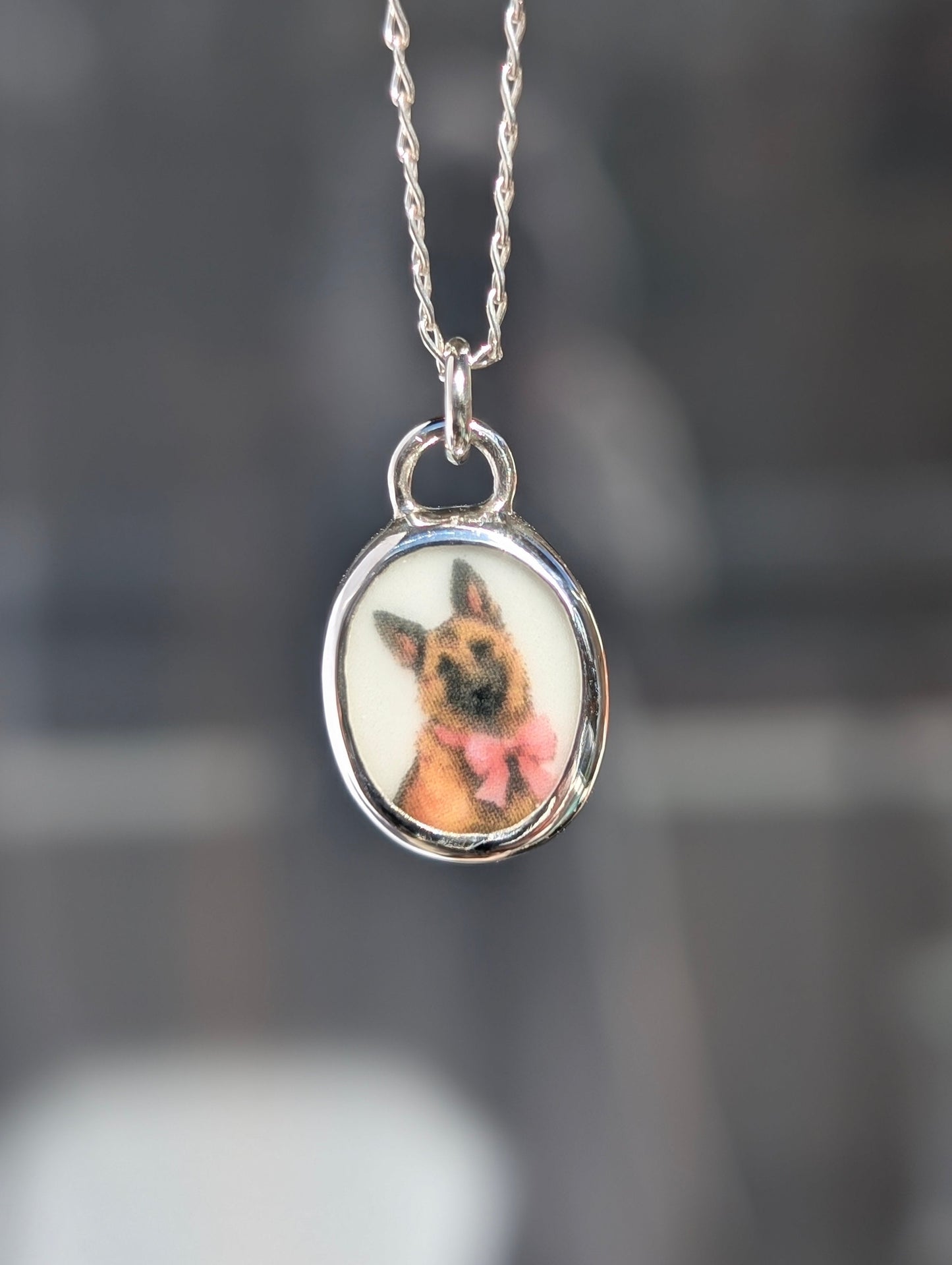 Collier berger allemand/malinois