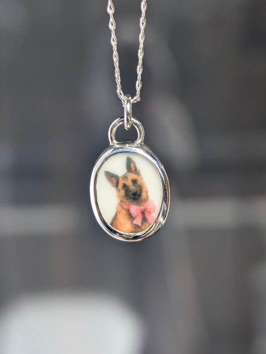 Collier berger allemand/malinois