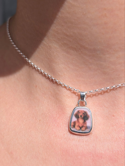 Collier chien teckel