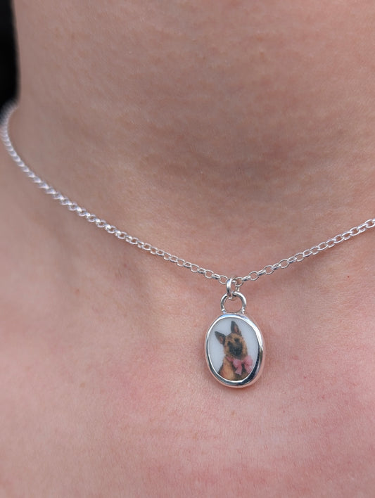 Collier berger allemand/malinois