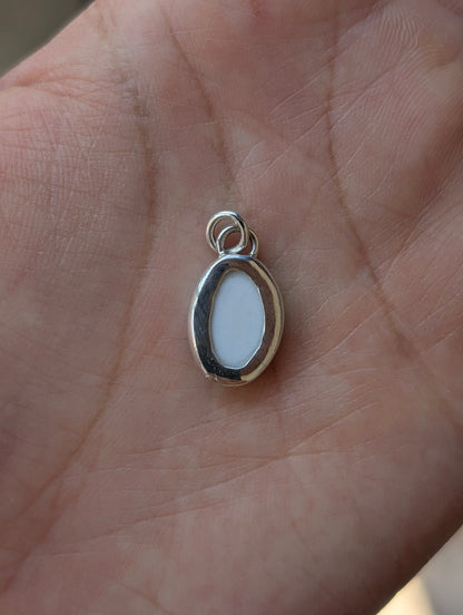 Collier teacup cat